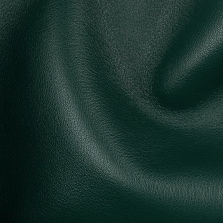 Vert Cypress leather swatch